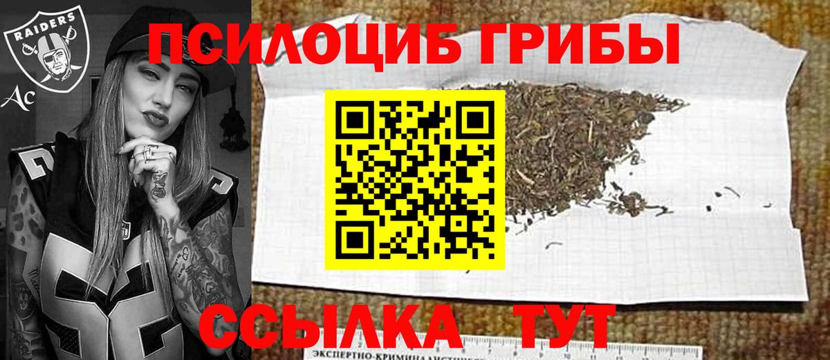 где найти наркотики  Псилоцибиновые грибы прущие грибы  Вход с VPN  Качканар 